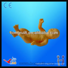 Medical training newborn model